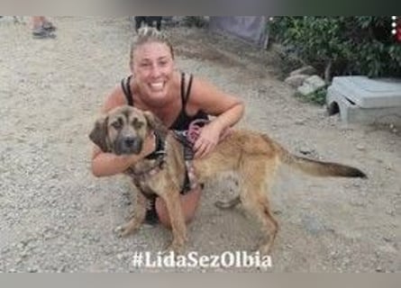 Luca: 1000 Schutzengel - und jetzt?