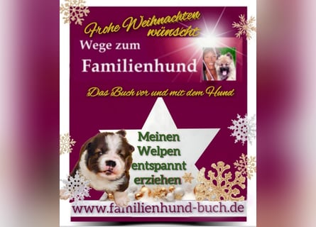 Vor und mit dem Welpen, Junghund, erwachsenen Hund: Das Buch Wege zum Familienhund