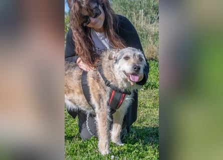 Lucky – mit Handicap