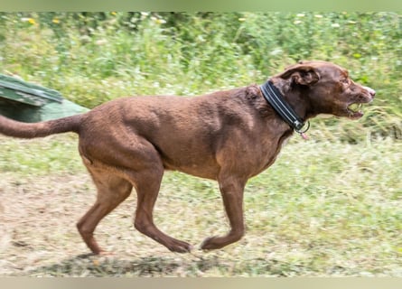 Pablo – fit trotz Handicap