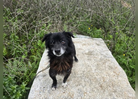 Mimmo: kleiner Zwerg sucht Kuschelplatz