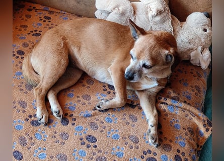 Sonnenanbeterin Elmi ❤️ menschenbezogen und lebensfroh - bereits in Deutschland