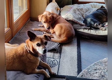 Sonnenanbeterin Elmi ❤️ menschenbezogen und lebensfroh - bereits in Deutschland