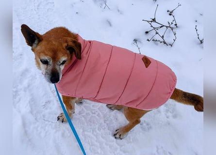 Sonnenanbeterin Elmi ❤️ menschenbezogen und lebensfroh - bereits in Deutschland