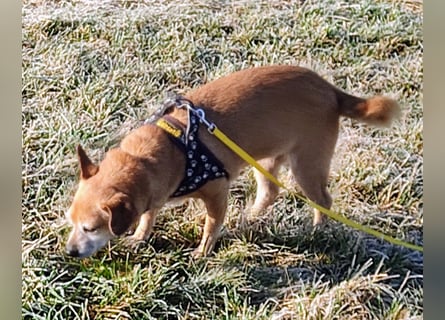 Sonnenanbeterin Elmi ❤️ menschenbezogen und lebensfroh - bereits in Deutschland