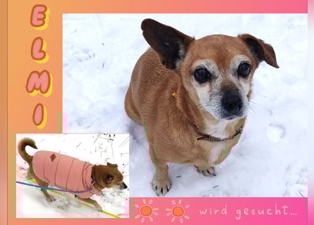 Sonnenanbeterin Elmi ❤️ menschenbezogen und lebensfroh - bereits in Deutschland