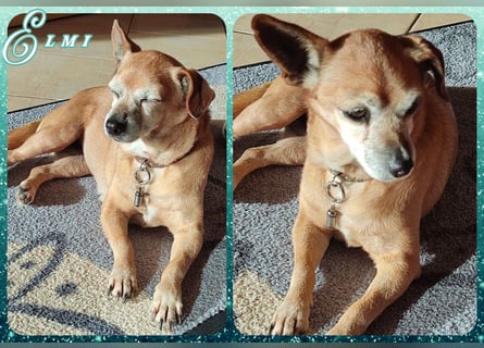 Sonnenanbeterin Elmi ❤️ menschenbezogen und lebensfroh - bereits in Deutschland