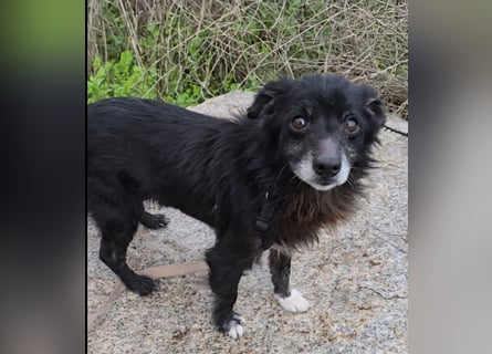 Mimmo und Mimma: Seniorenpärchen will zusammen bleiben