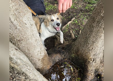 Buffy: sie liebt Menschen über alles