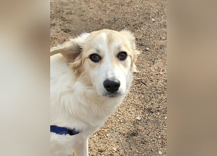 Buffy: ein Schatz für "Überall mit dabei"