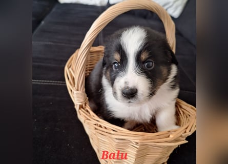 Sie sind endlich da 4 Mädels und 5 Jungs