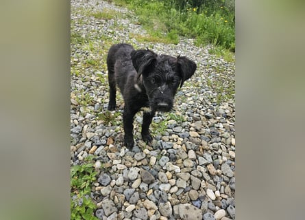 Eléa – Kleine Entdeckerin mit großem Herz sucht Zuhause