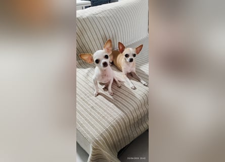 Süßes Mutter Tochter Duo sucht liebevollen Platz
