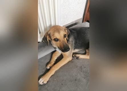 Sportliche Kikki ist in der Südpfalz zu besuchen