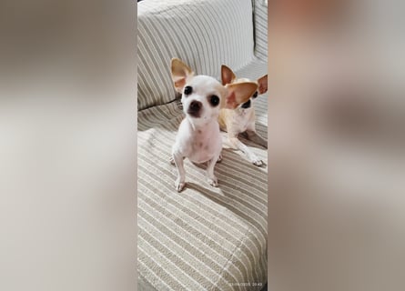 Süßes Mutter Tochter Duo sucht liebevollen Platz