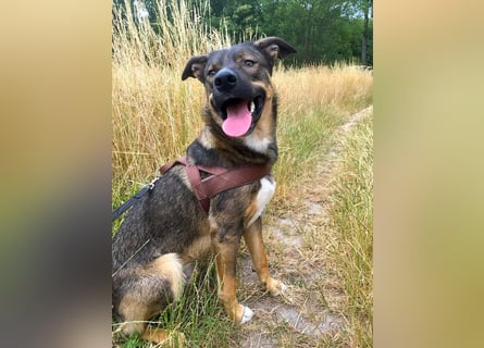 Tucker braucht ein neues Zuhause