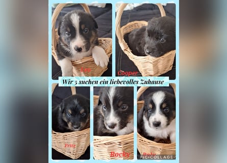 Sie sind endlich da 4 Mädels und 5 Jungs