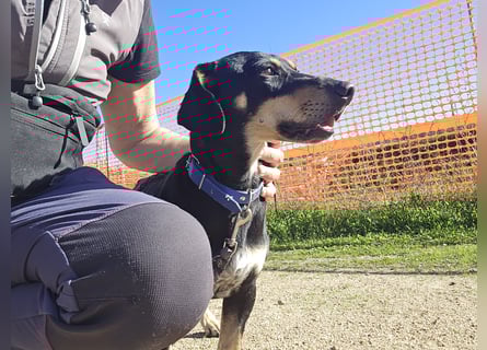 Otto: Spaß und gute Laune garantiert