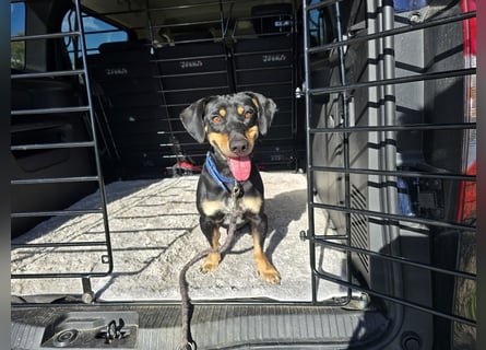 Otto: Spaß und gute Laune garantiert