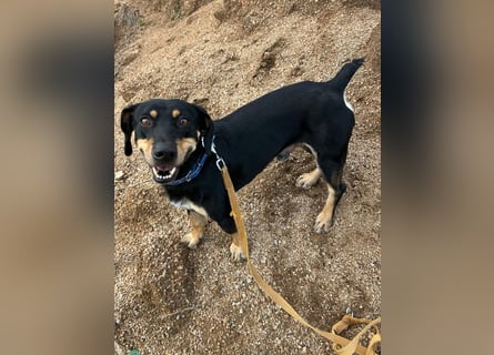 Otto: Spaß und gute Laune garantiert