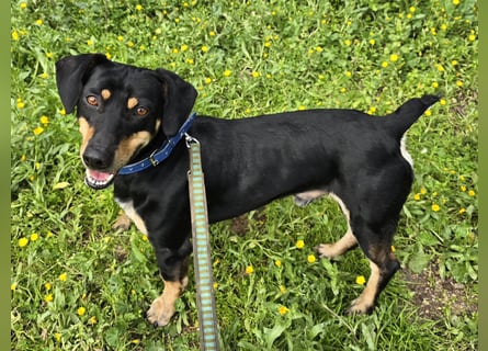 Otto: Spaß und gute Laune garantiert