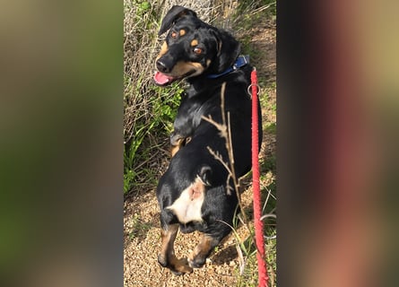 Otto: Spaß und gute Laune garantiert