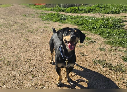 Otto: Spaß und gute Laune garantiert