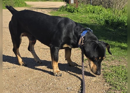 Otto: Spaß und gute Laune garantiert