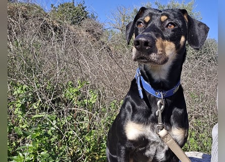 Otto: ein Schatz  für die ganze Familie