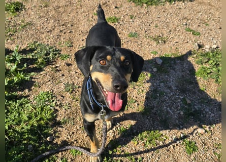 Otto: ein Schatz  für die ganze Familie