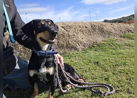 Otto: Spaß und gute Laune garantiert