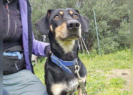 Otto: ein Schatz  für die ganze Familie