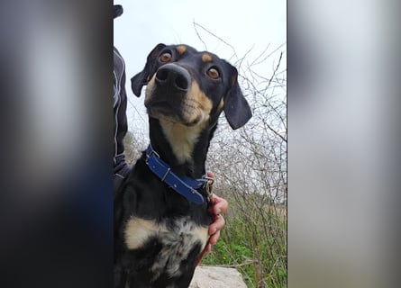 Otto: ein Schatz  für die ganze Familie