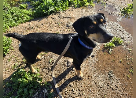 Otto: ein Schatz  für die ganze Familie