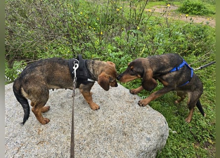 Monica: Mama mit Herz