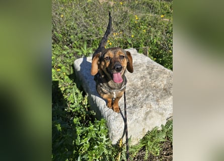 Monica: Mama mit Herz