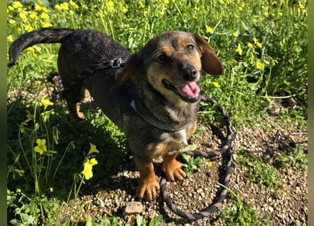 Monica: Mama mit Herz