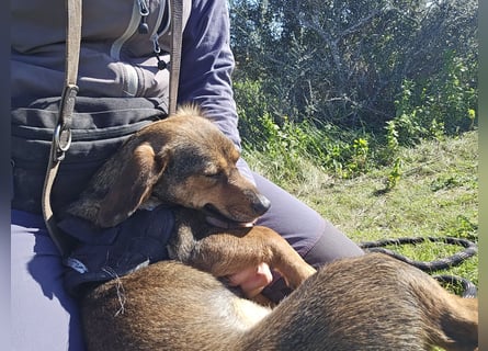 Monica: Mama mit Herz