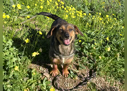 Monica: Mama mit Herz