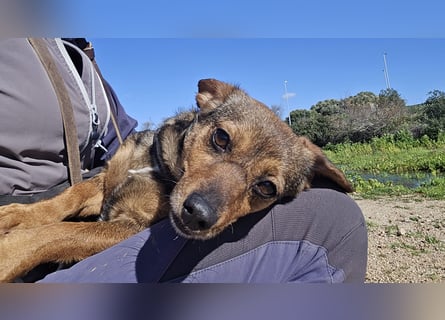 Monica: Mama mit Herz