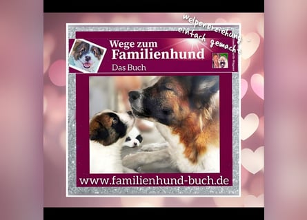 Das Buch zum Welpen: Wege zum Familienhund