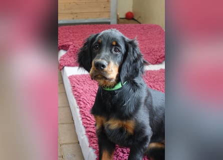 Die liebenswerte anschmiegsame Sheila sucht Lebenspartner