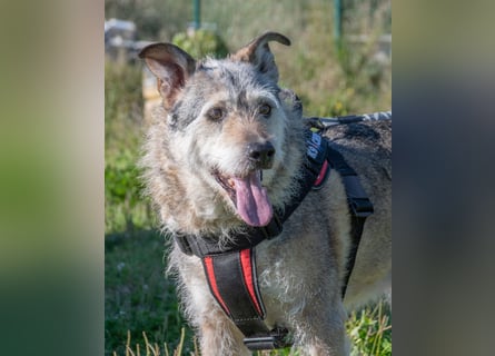 Lucky – mit Handicap