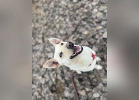 Mila, erwachsene Frau der vielen Facetten