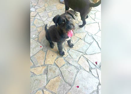 Eléa – Kleine Entdeckerin mit großem Herz sucht Zuhause