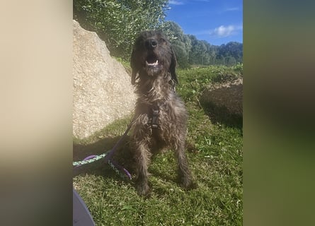 Trenedda: für sie nur noch das Beste