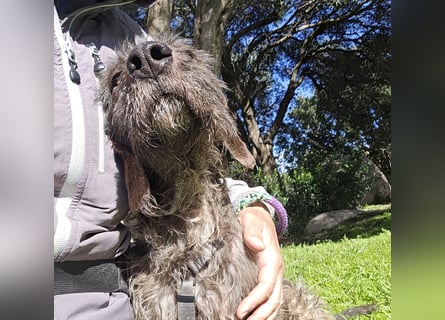 Trenedda: für sie nur noch das Beste