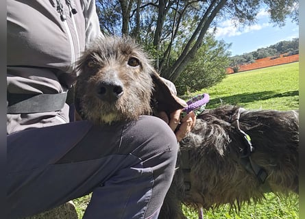 Trenedda: für sie nur noch das Beste