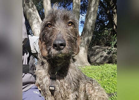 Trenedda: für sie nur noch das Beste