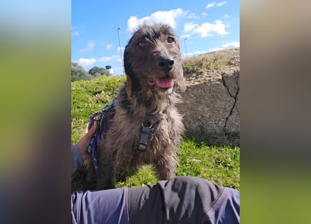 Trenedda: für sie nur noch das Beste